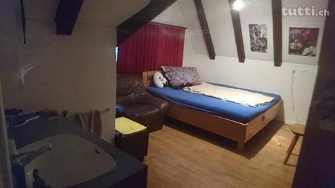 3.5 Zimmer Dachwohnung sucht Nachmieter