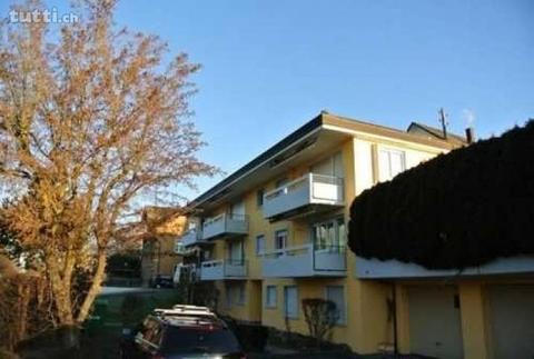 1-Zimmerwohnung in Hinwil