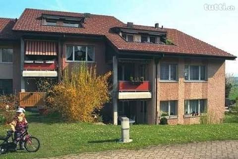 Gemütliche Wohnung gesucht?