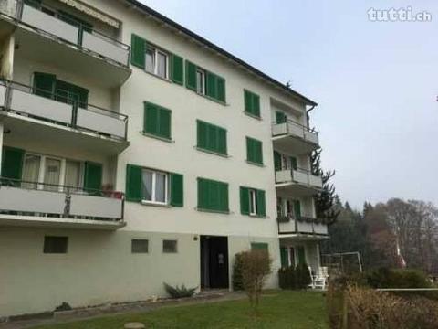1-Zimmerwohnung in Luzern