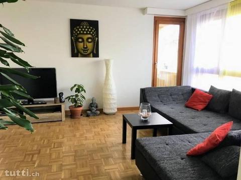 Helle und heimelige Wohnung in Seenähe