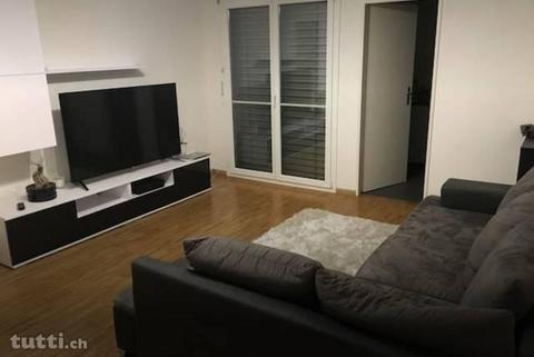 Schöne 2-Zi. Wohnung - Nachmieter gesucht!