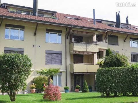 2.5 Zimmer- Whg. in Safenwil zu vermieten