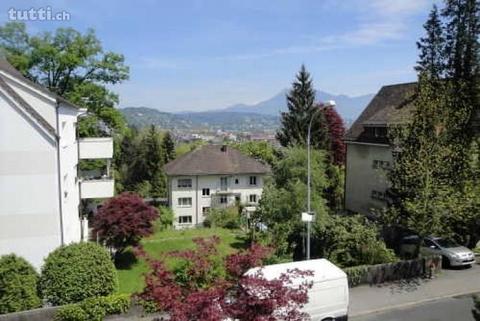 Wohnen im Säliquartier mit toller Aussicht