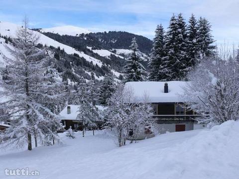 Appartement dans petit chalet, Morgins