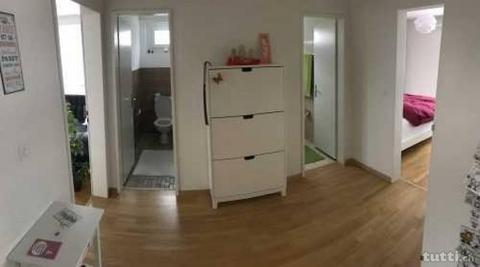 Helle, ruhige, zentrale 4 1/2 Zimmer Wohnung