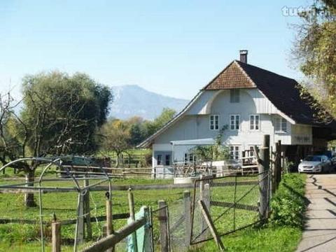 Direkt an der Aare; Landgut mit Bauernhaus, S