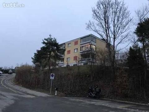 TOP-Wohnung mit unverbaubarer Aussicht