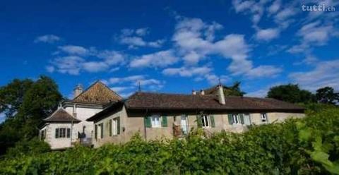 Unique Vue grandiose au coeur du Vignoble