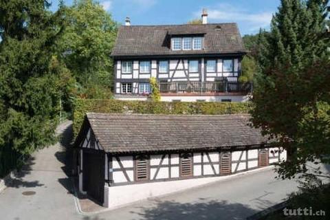 Gepflegtes Wohnen in ehemaligem Winzerhaus (8