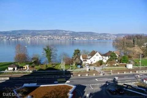 Moderne Wohnung direkt am Zürichsee