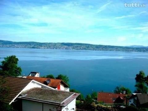 Traumhaft Haus mit dem Zürichsee Blick und we