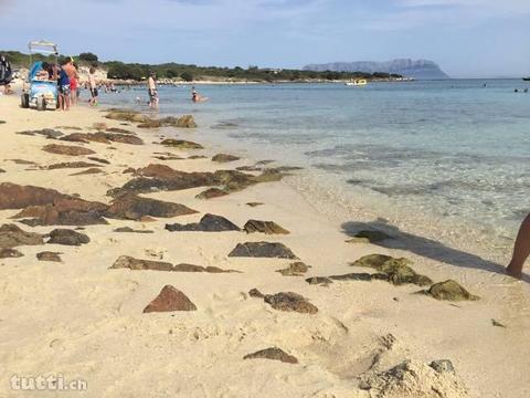 Relax, Sonne, Strand und Meer geniessen