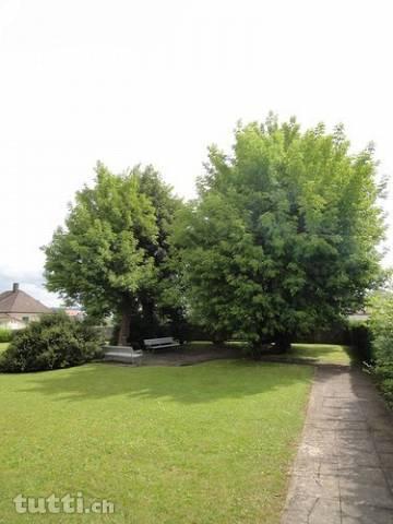 GEMÜTLICHE WOHNUNG MIT GARTENSITZPLATZ