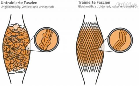 Suche Raum in Arch