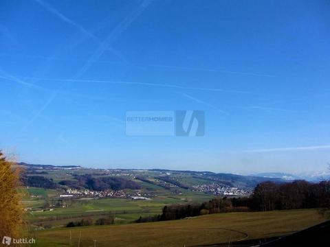 LICHTDURCHFLUTETE WOHNFLÃCHEN MIT AUSSICHT